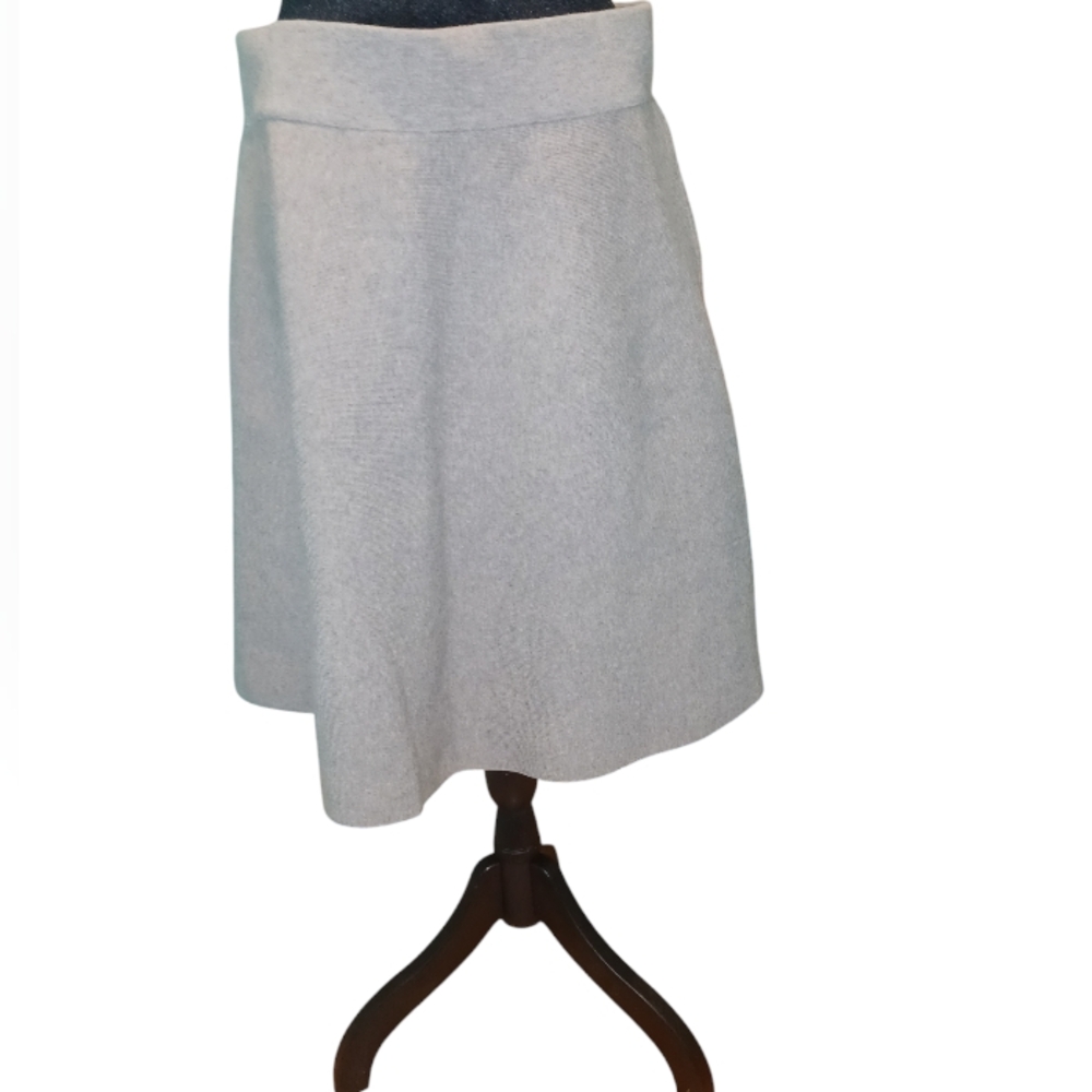 Ann Taylor skirt NWT